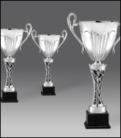 puchary, puchar 4312/1