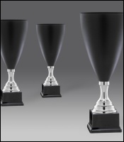 puchary, puchar 4323/2