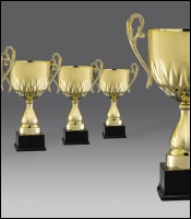 puchary, puchar 4336/3